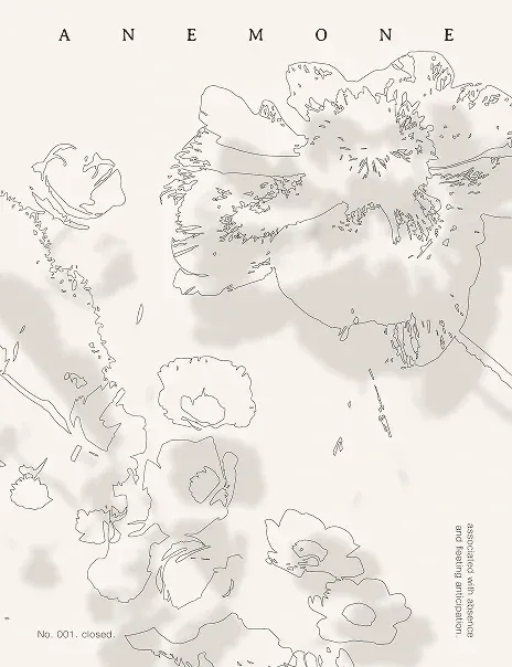 Anemone floral illustration