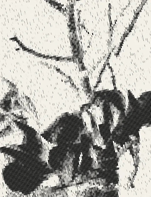 Charcoal nature artwork